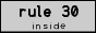 [rule 30 inside]